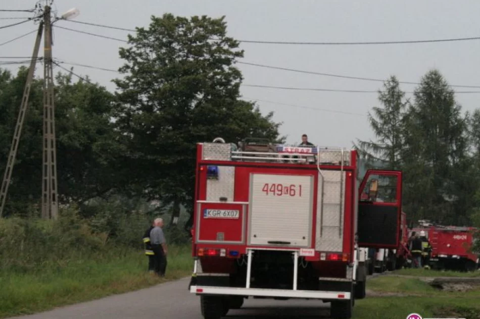 Pożar budynku gospodarczego w Pagorzynie - zdjęcie 3