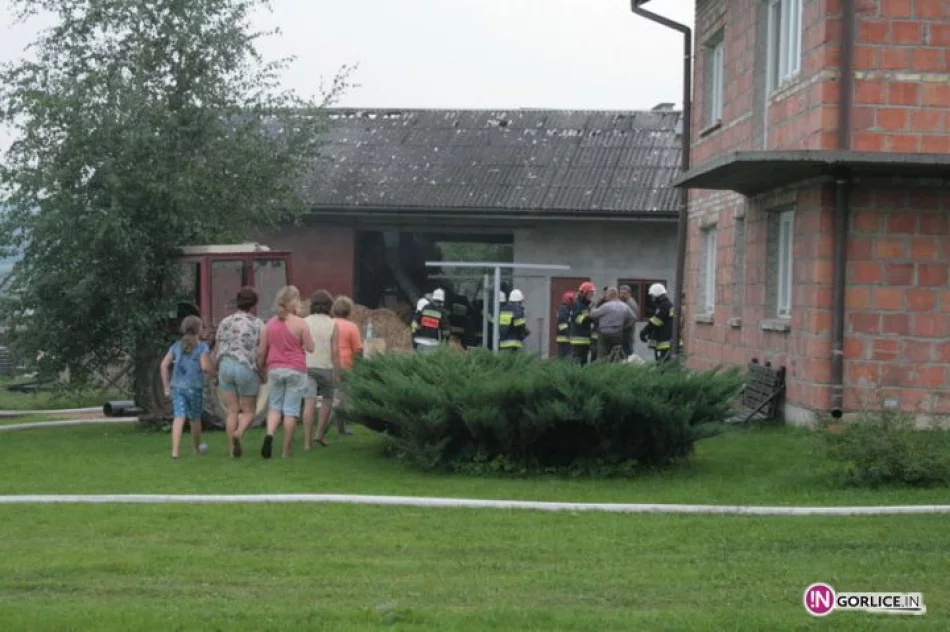 Pożar budynku gospodarczego w Pagorzynie - zdjęcie 6