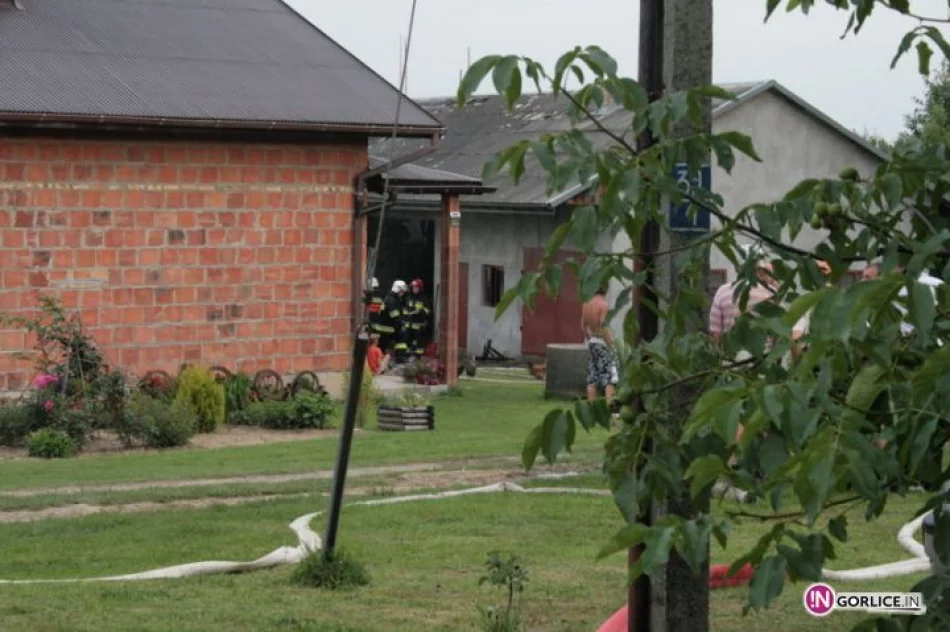 Pożar budynku gospodarczego w Pagorzynie - zdjęcie 9