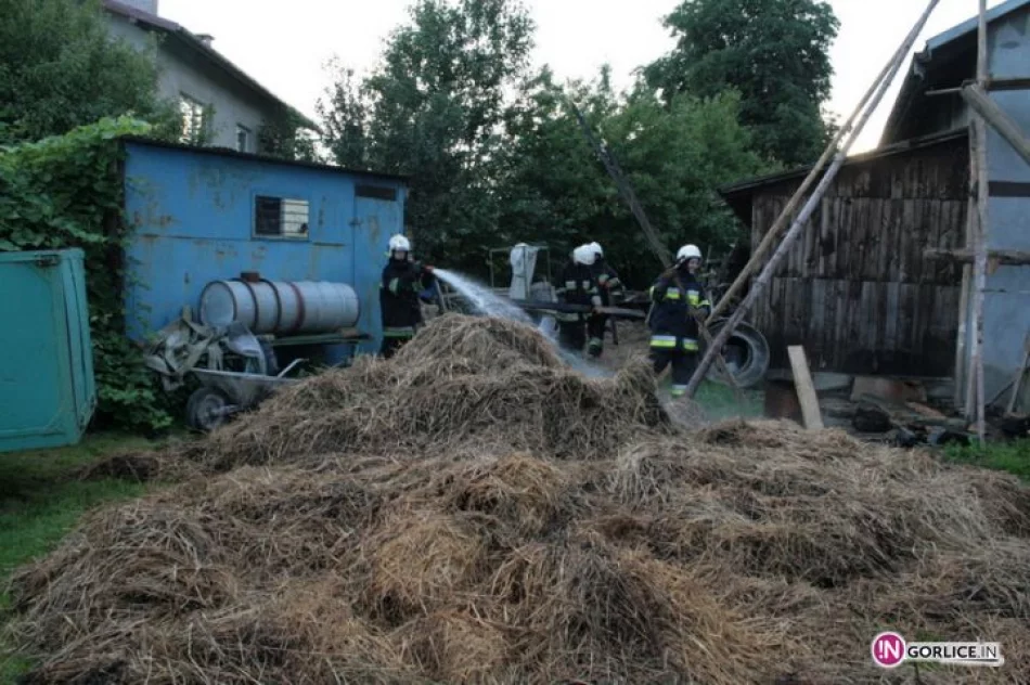 Pożar budynku gospodarczego w Pagorzynie - zdjęcie 14