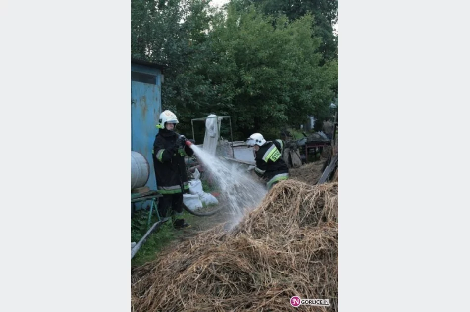 Pożar budynku gospodarczego w Pagorzynie - zdjęcie 16