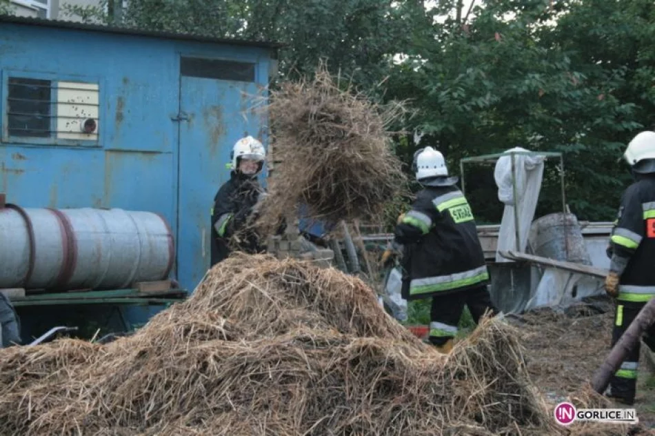 Pożar budynku gospodarczego w Pagorzynie - zdjęcie 17