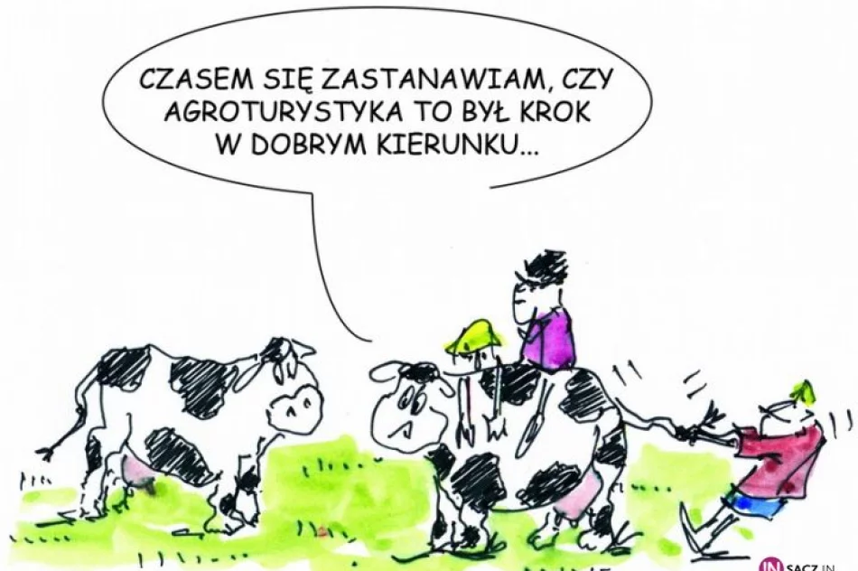 Galeria Marka Stawowczyka - zdjęcie 14