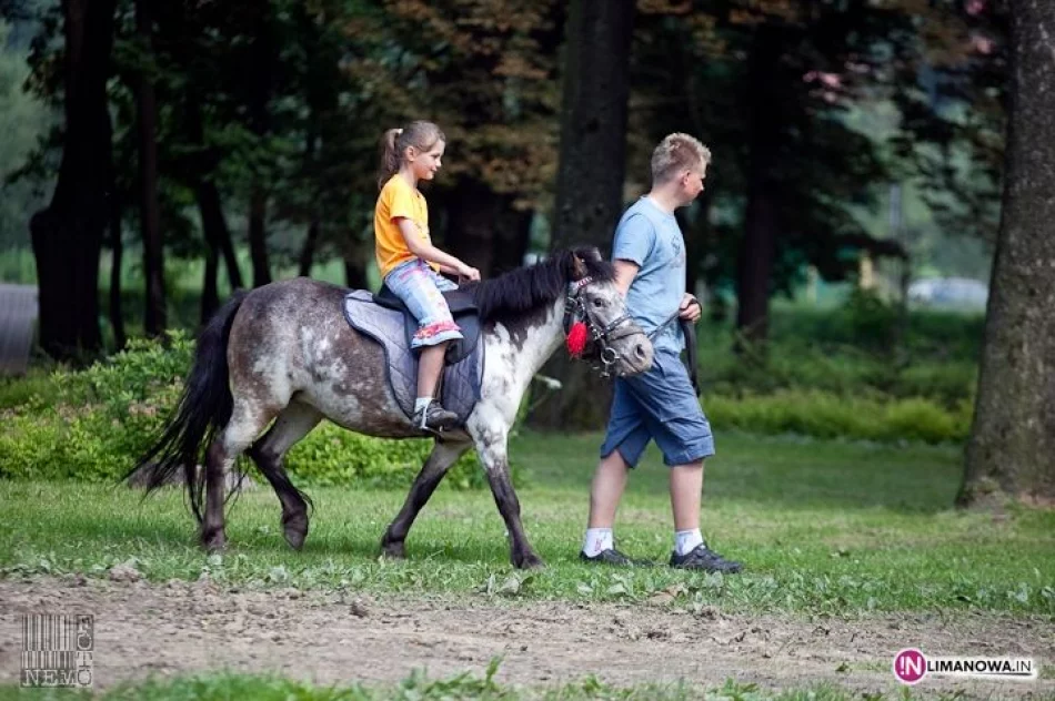 Obchody 650-lecia z Golec uOrkiestra - zdjęcie 17