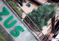 ZUS z nową usługą dla klientów - doradcą płatnika - zdjęcie główne