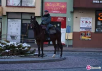 'Limanowianie w Stulecie Niepodległości' wybudują pomnik komendanta - zdjęcie główne