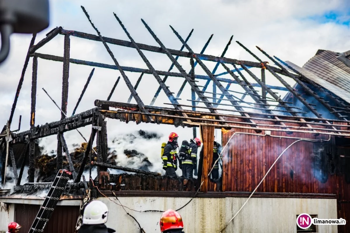 Zwarcie instalacji prawdopodobną przyczyną dużego pożaru (wideo)