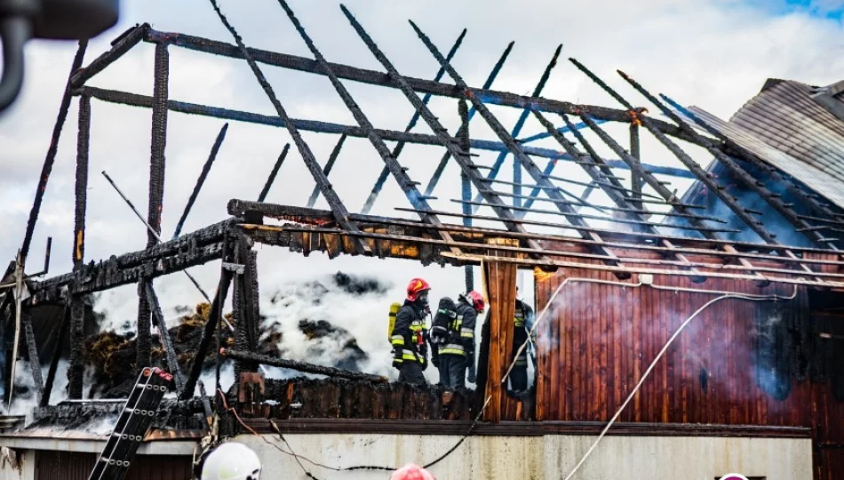 Zwarcie instalacji prawdopodobną przyczyną dużego pożaru (wideo) - zdjęcie 1