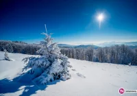 Tej nocy również silny mróz - zdjęcie główne