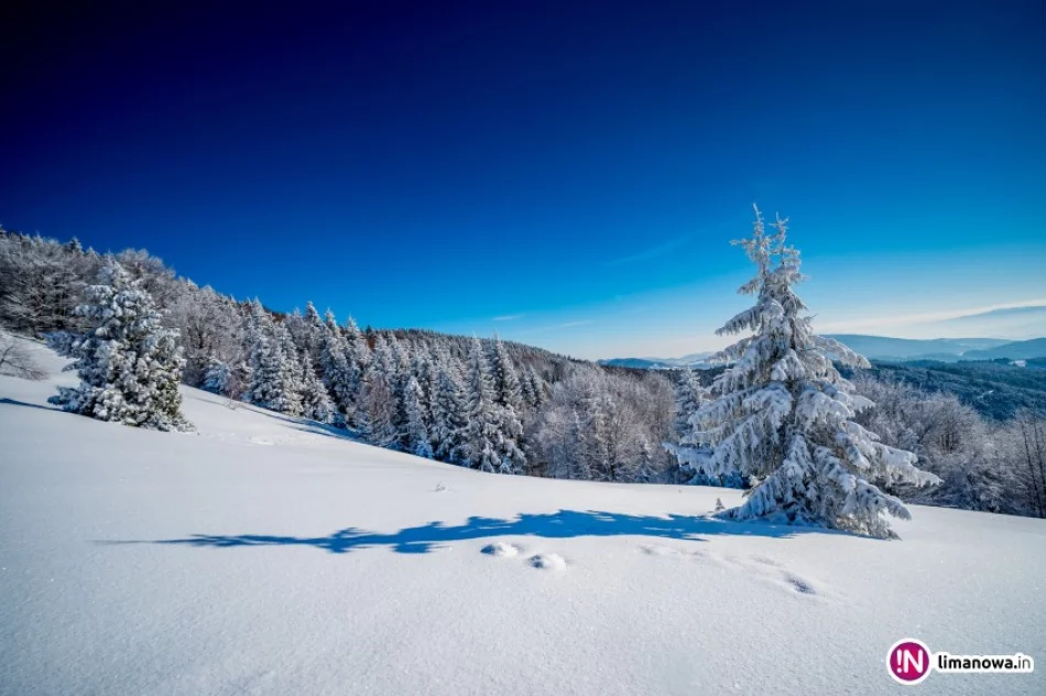 Tej nocy również silny mróz - zdjęcie 3