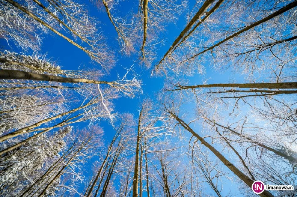 Tej nocy również silny mróz - zdjęcie 4