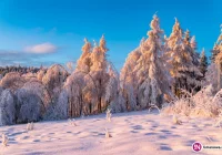 Dzisiejszej nocy możliwy silny mróz - zdjęcie główne