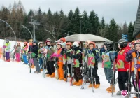 Uczniowie z limanowskich szkół 'jeżdżą z głową' - zdjęcie główne