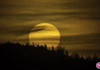 Ostrzeżenie IMiGW: uwaga na silny wiatr - zdjęcie główne