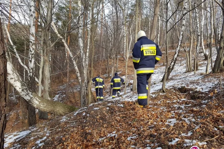Szukały go służby, a on siedział w barze w centrum miasta - zdjęcie 3