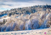 Uwaga, wiatr do 100 km/h i możliwe zamiecie śnieżne - zdjęcie główne