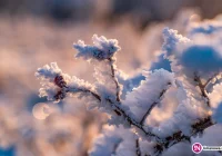 Uwaga, możliwa gołoledź! - zdjęcie główne