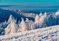 Uwaga na silny wiatr z południa - zdjęcie główne