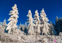 Beskid Wyspowy w mroźny poranek (zdjęcia) - zdjęcie główne