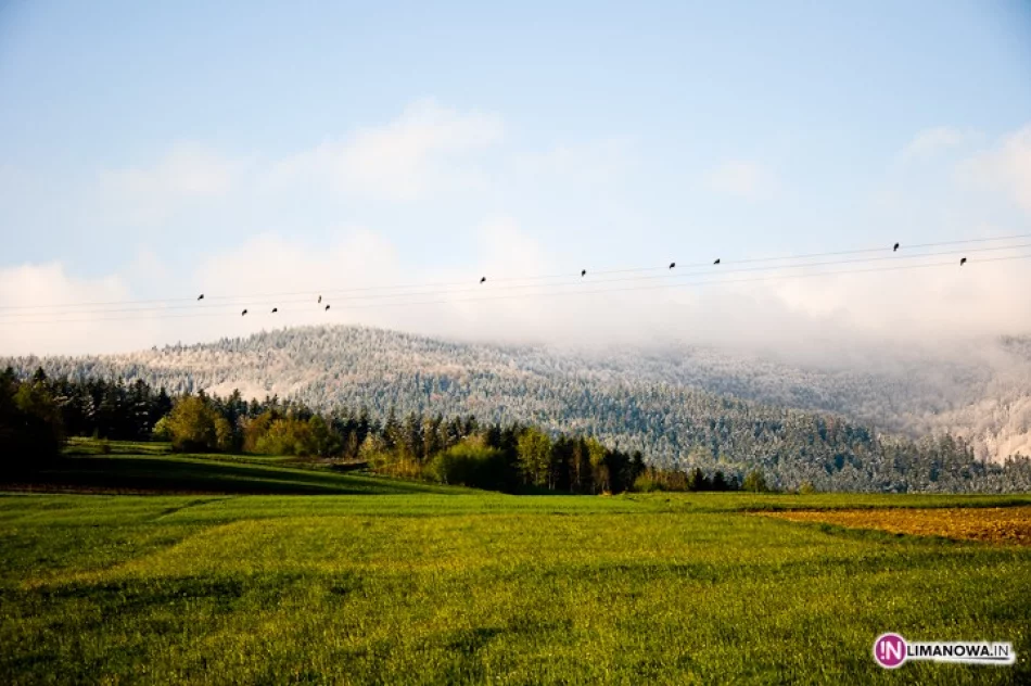 Śnieg w maju - zdjęcie 3