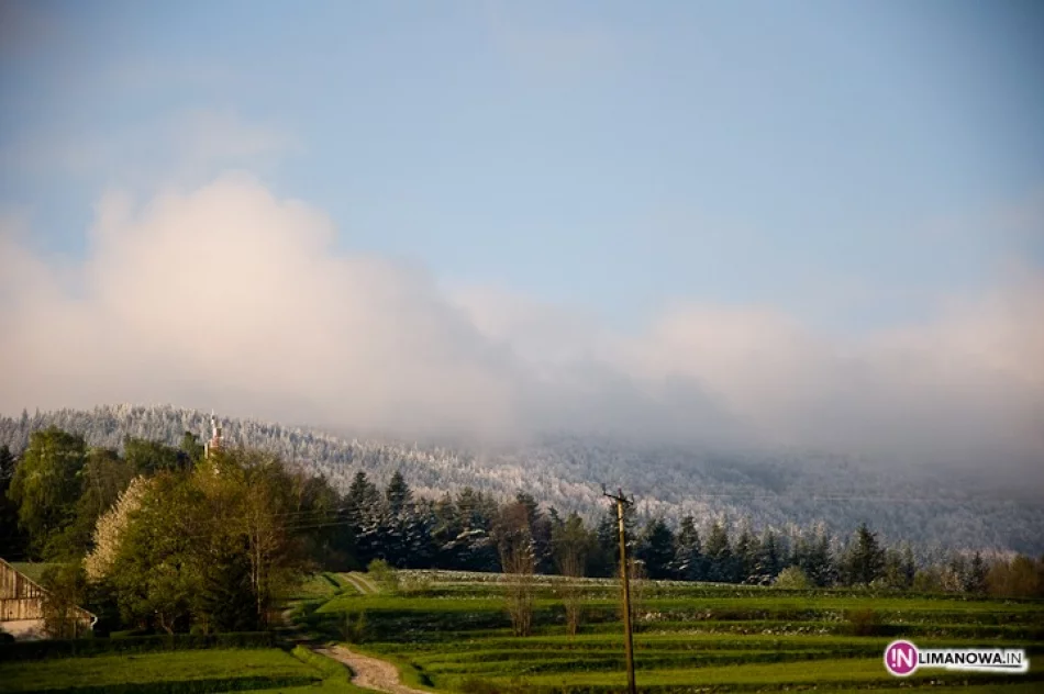 Śnieg w maju - zdjęcie 6