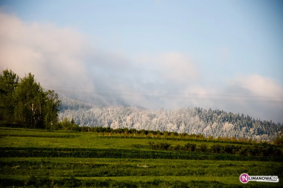 Śnieg w maju - zdjęcie 9