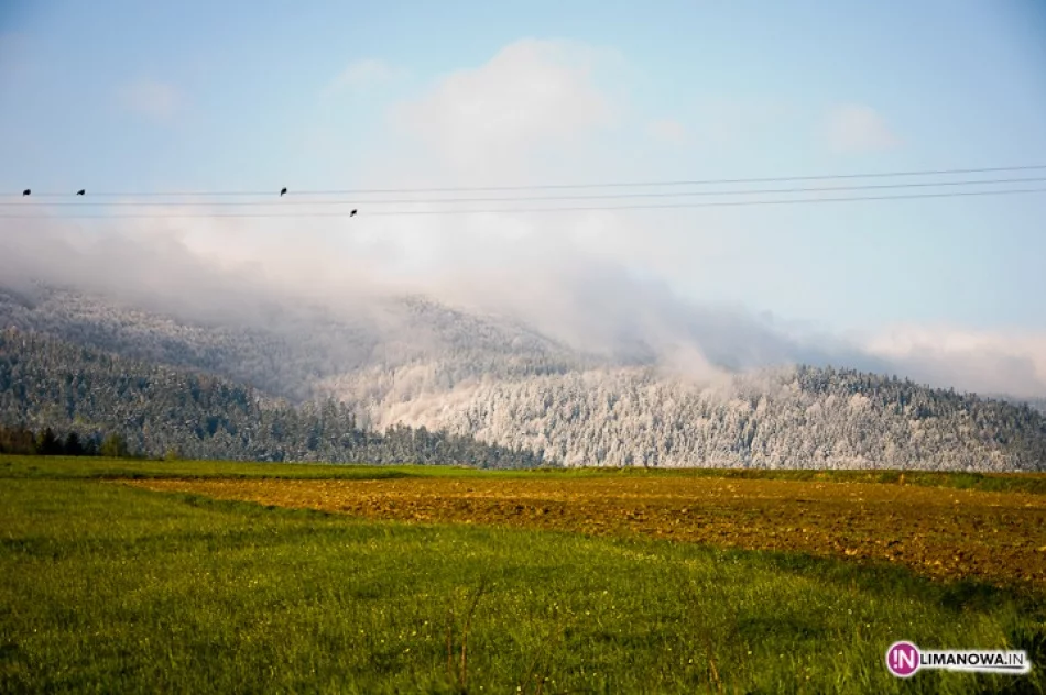 Śnieg w maju - zdjęcie 10