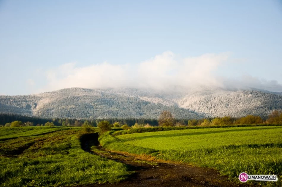 Śnieg w maju - zdjęcie 13