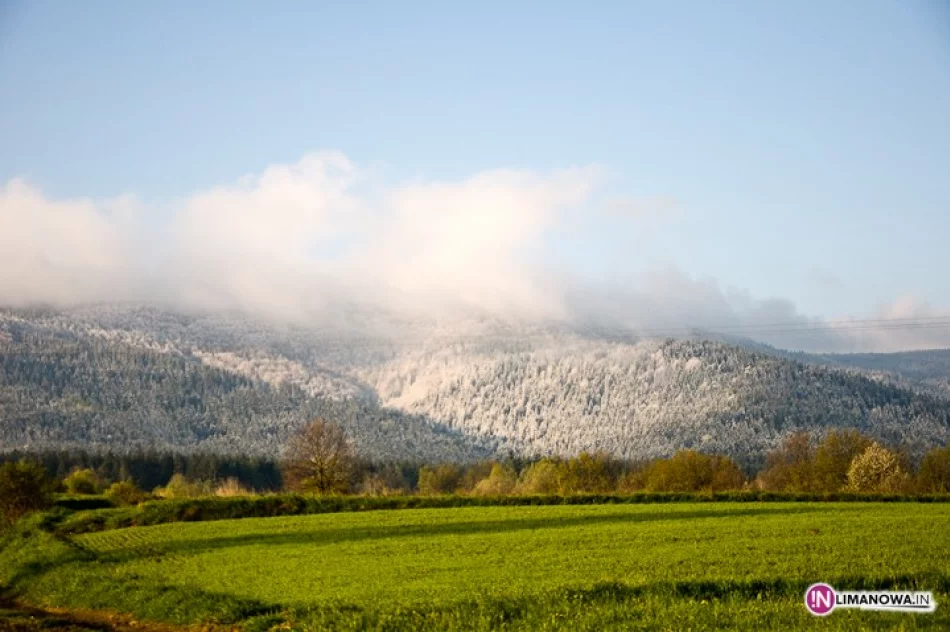 Śnieg w maju - zdjęcie 14