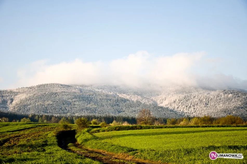 Śnieg w maju - zdjęcie 15