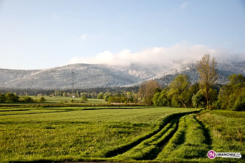Śnieg w maju - zdjęcie 16