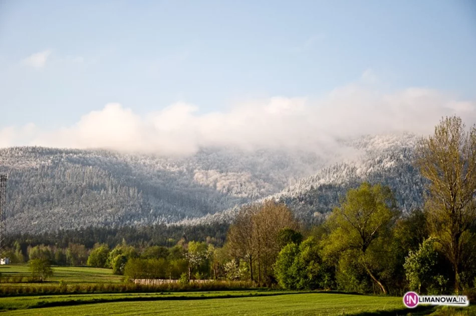 Śnieg w maju - zdjęcie 20