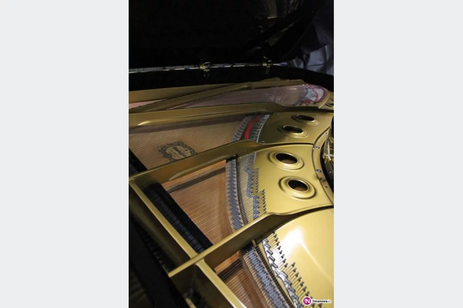 Fortepian za 150 tys. zł zastąpił ponad stuletni model - zdjęcie 2