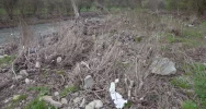 Co pije Limanowa... - zdjęcie 1