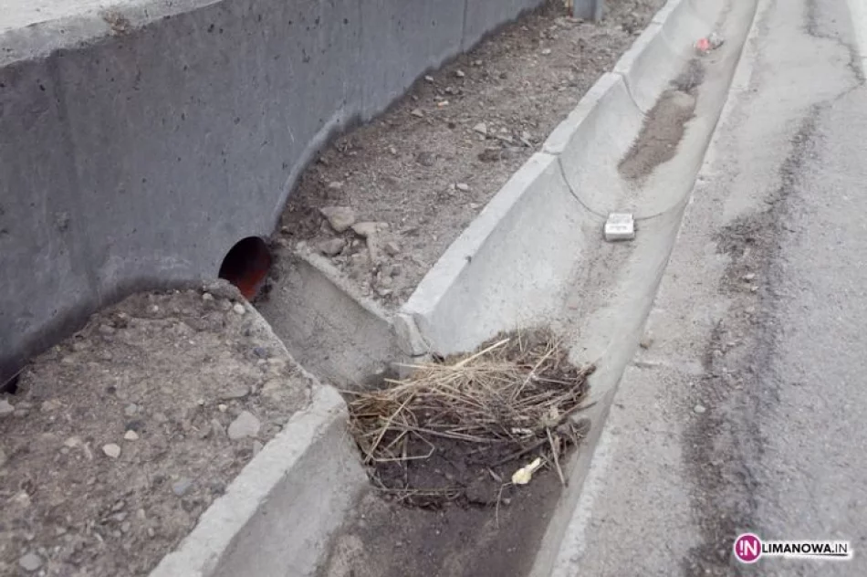 Teren "ochrony" wód - zdjęcie 5