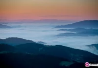 Ostrzeżenie meteorologiczne: silna mgła - zdjęcie główne