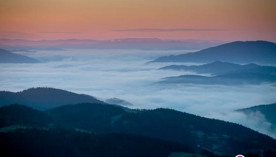 Ostrzeżenie meteorologiczne: silna mgła - zdjęcie 1