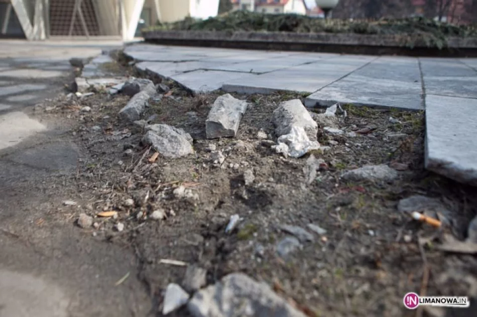 Buzodrom w marcu - zdjęcie 6