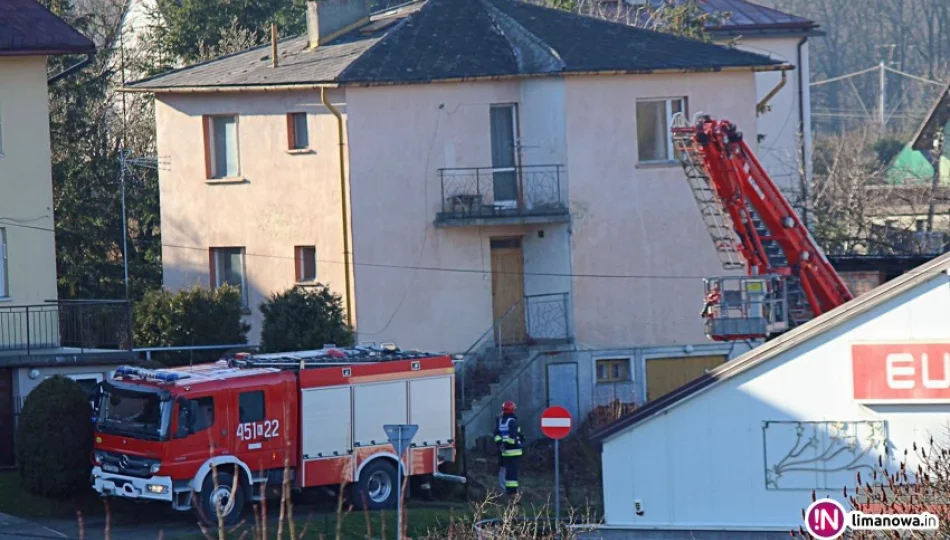 Strażacy pomogli kotu, który wpadł do komina - zdjęcie 1