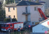 Strażacy pomogli kotu, który wpadł do komina - zdjęcie główne