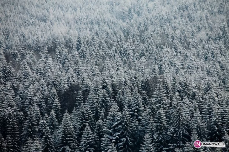 Liga Narciarstwa Alpejskiego gościła w Lubomierzu - zdjęcie 5