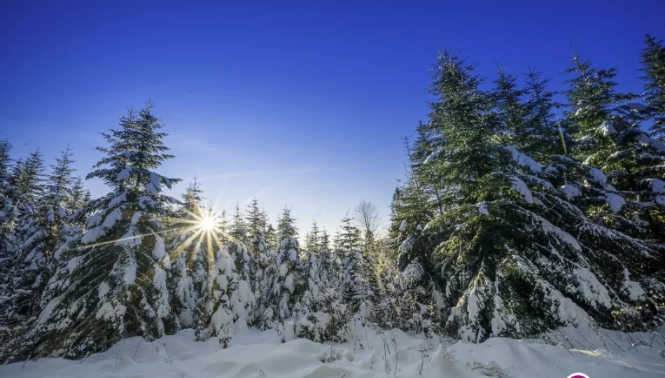 Najlepsze życzenia dla Was! - zdjęcie 1