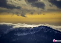 Ostrzegają przed silnym wiatrem - w porywach do 80 km/h - zdjęcie główne