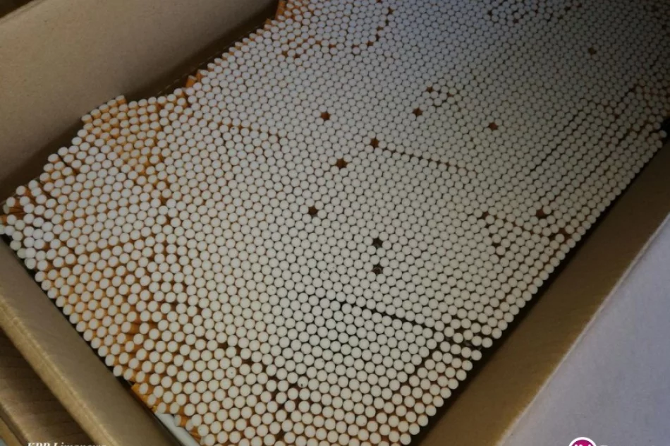 Policjanci i celnicy zabezpieczyli nielegalne papierosy, tytoń i alkohol. Zatrzymanym grożą 3 lata więzienia - zdjęcie 4