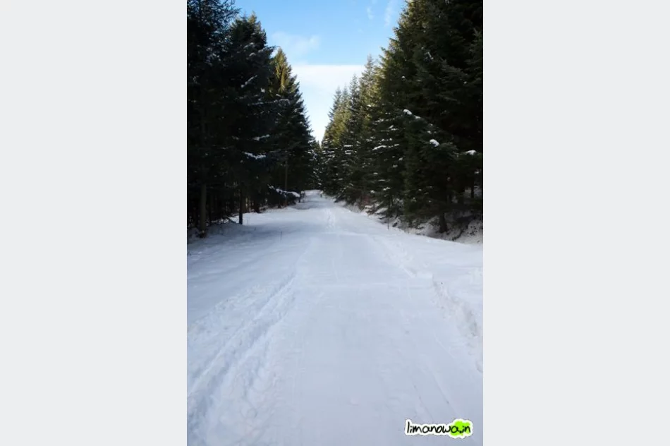 Otwarto 20 km tras biegowych! - zdjęcie 6