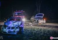 Kolizja zakończona... porodem! - zdjęcie główne