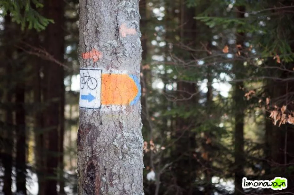 Otwarto 20 km tras biegowych! - zdjęcie 10