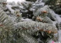 Uwaga, możliwa gołoledź! - zdjęcie główne