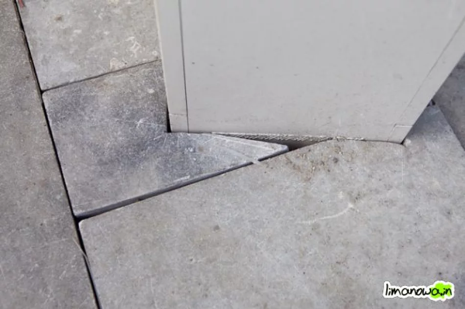 Buzodrom w styczniu 2011 - zdjęcie 2