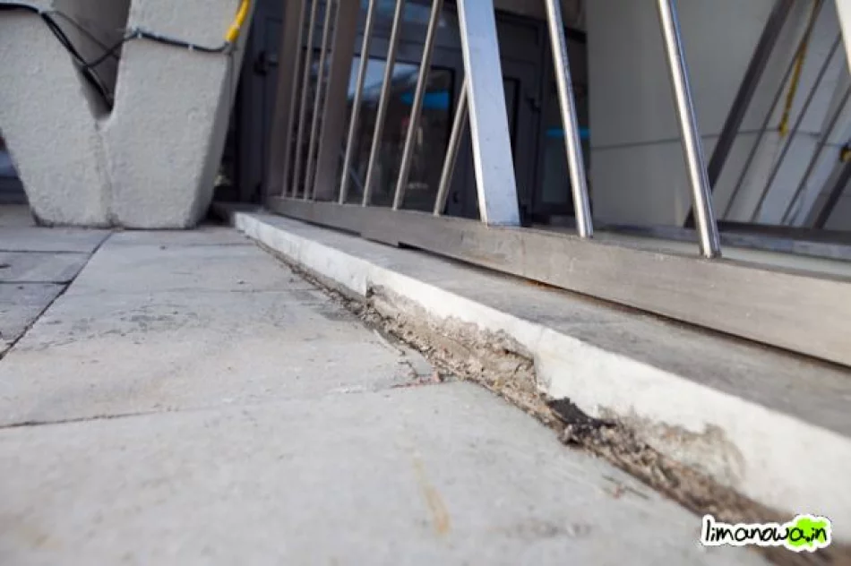 Buzodrom w styczniu 2011 - zdjęcie 3